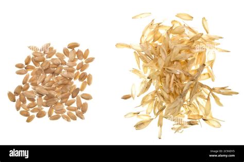 grain husks 4 letters.